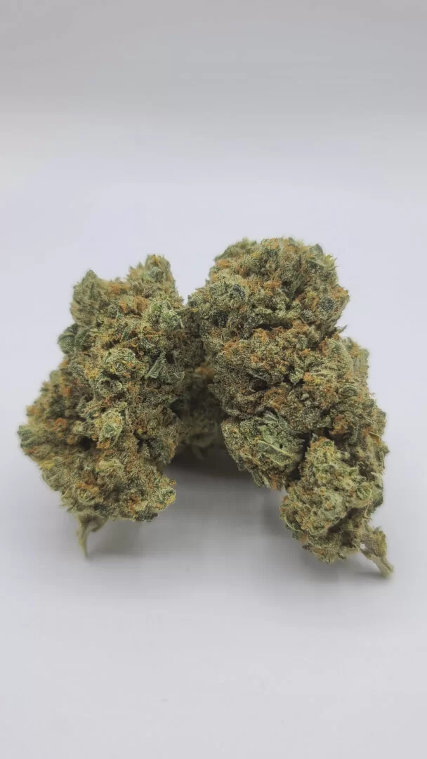 Sky High Exotics