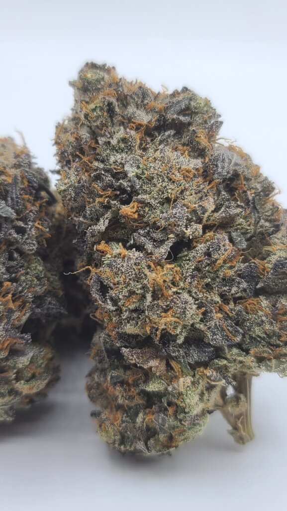 Sky High Exotics