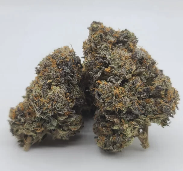 Sky High Exotics