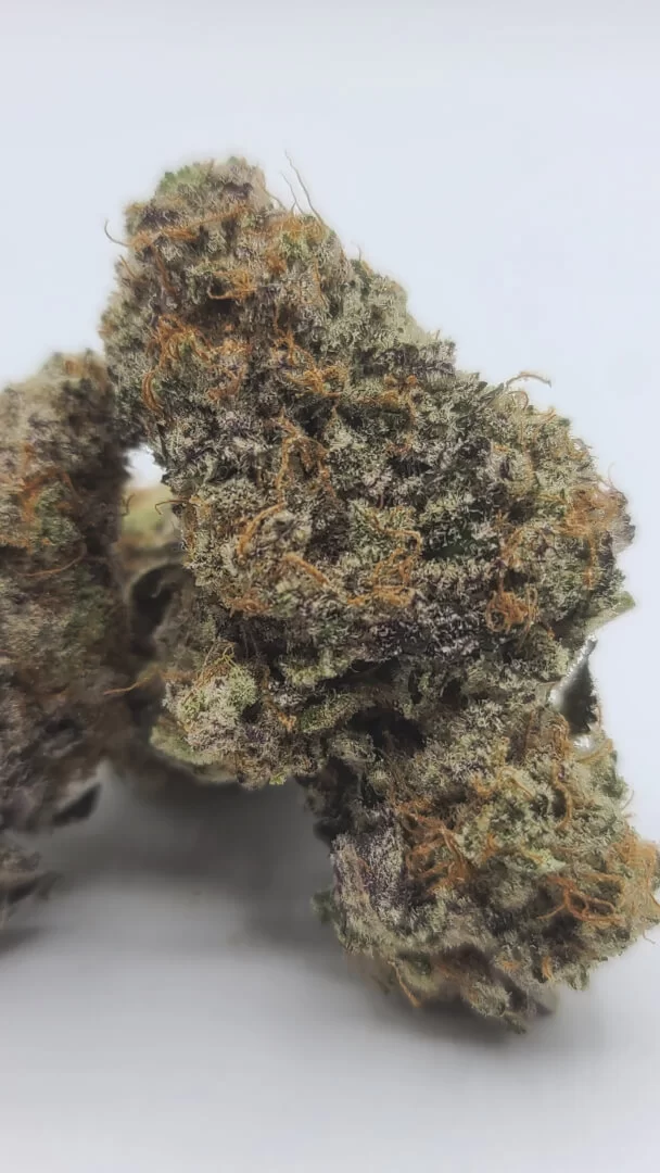 Sky High Exotics