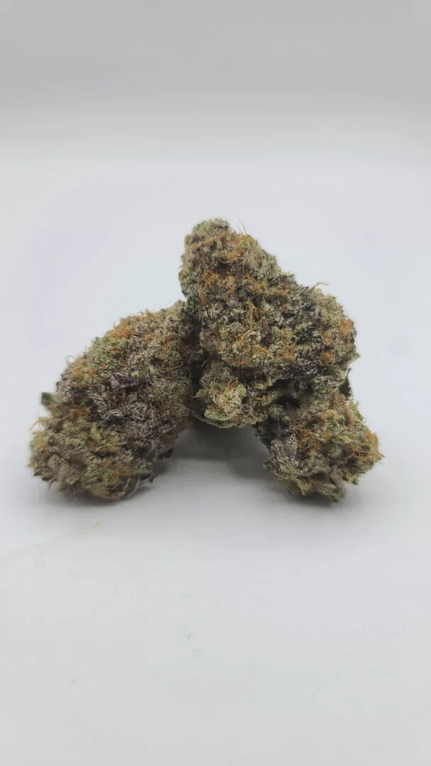 Sky High Exotics