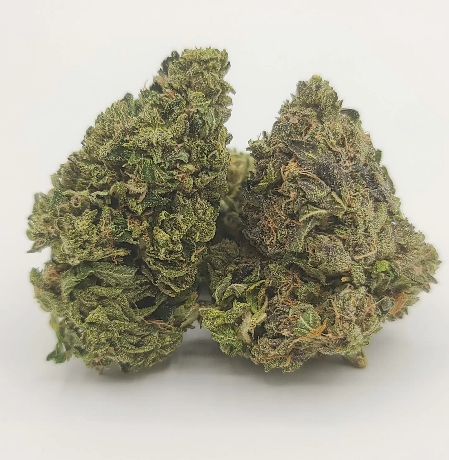 Sky High Exotics