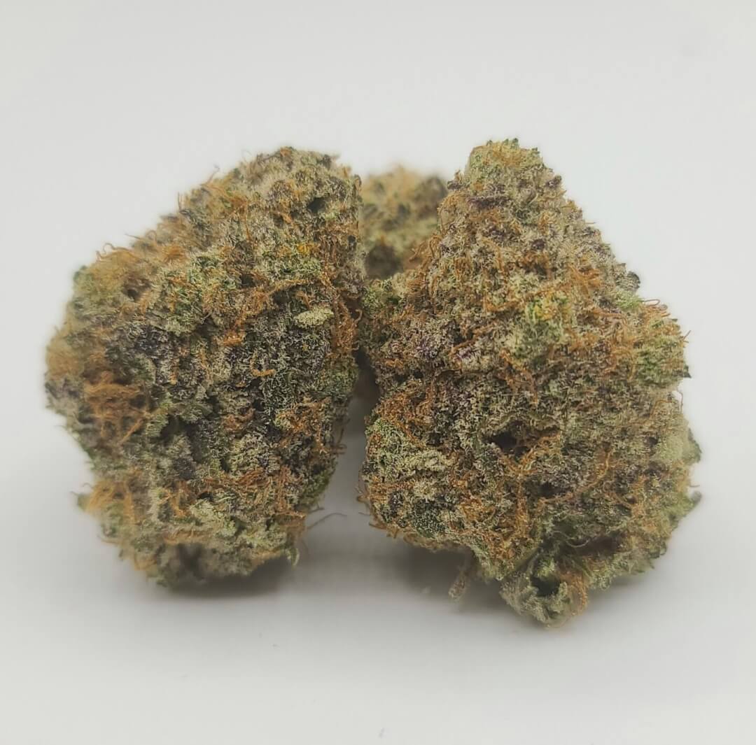 Sky High Exotics