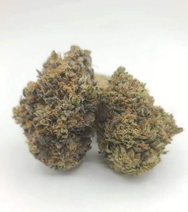 Sky High Exotics