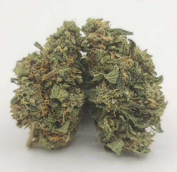 Sky High Exotics