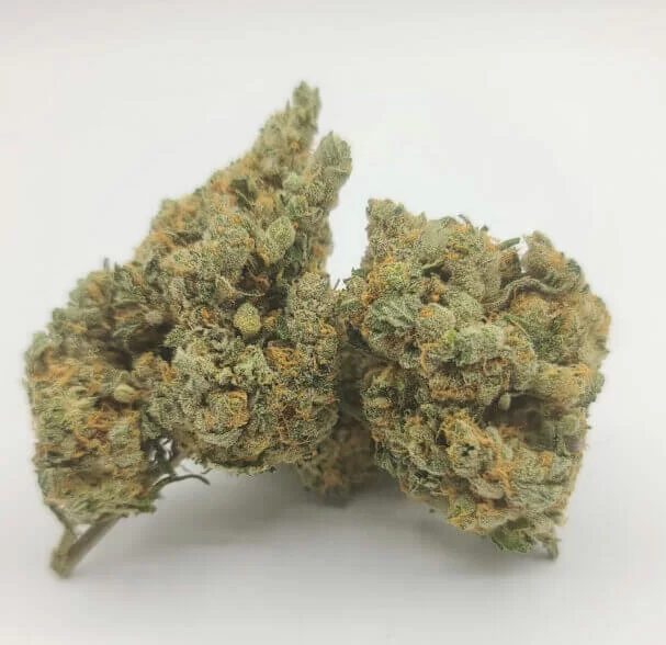 Sky High Exotics