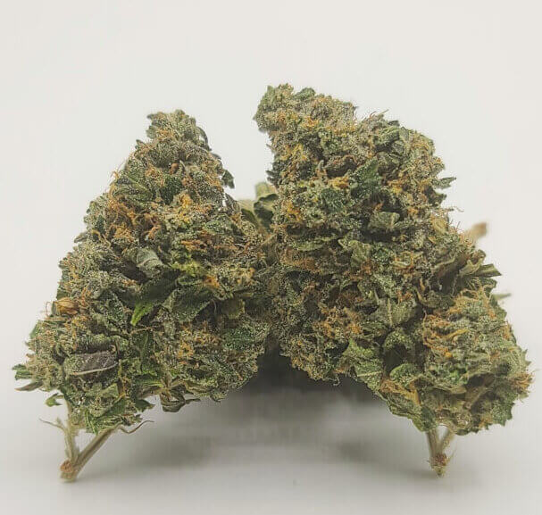 Sky High Exotics