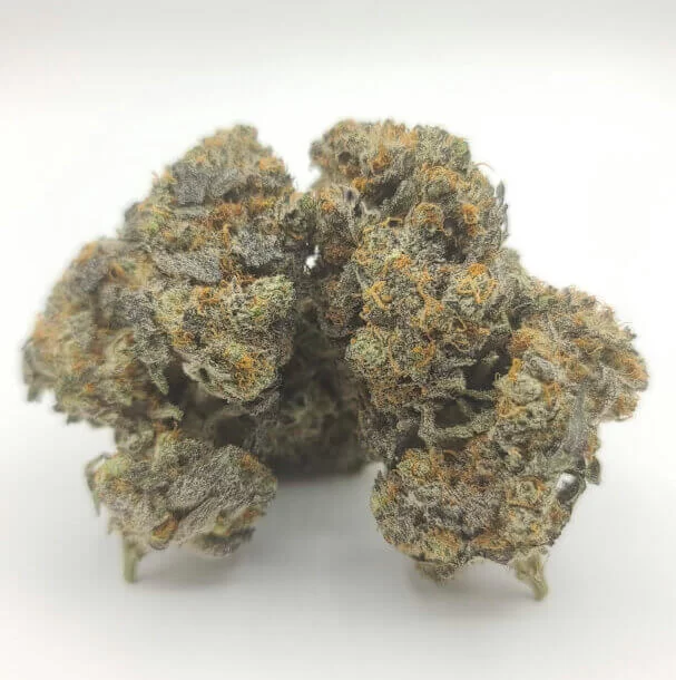 Sky High Exotics