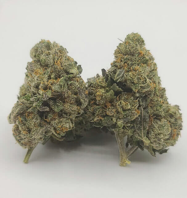 Sky High Exotics