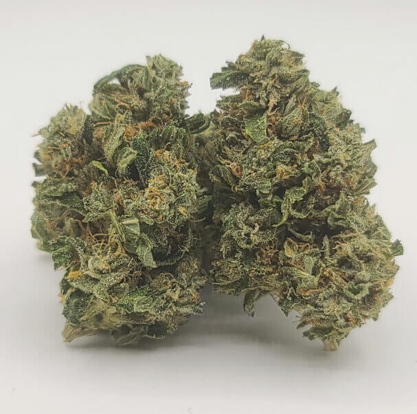 Sky High Exotics