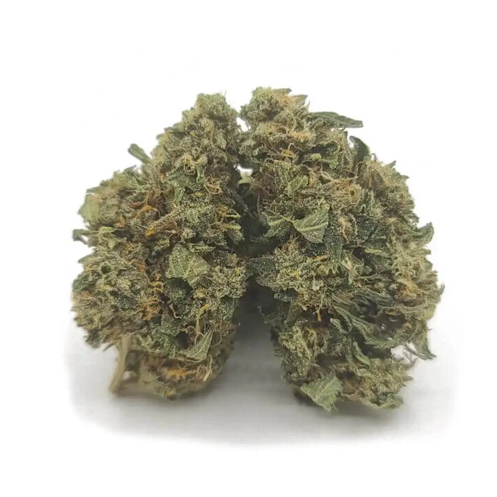 Sky High Exotics