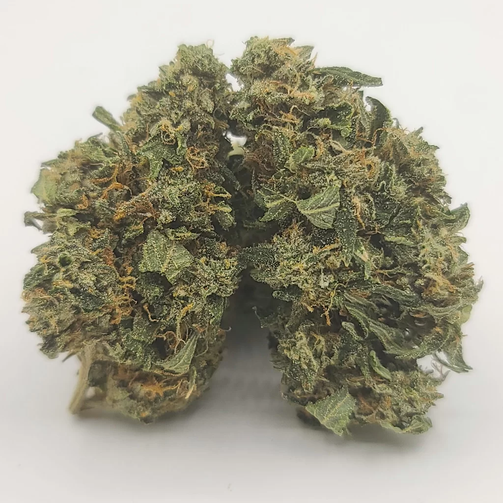 Sky High Exotics