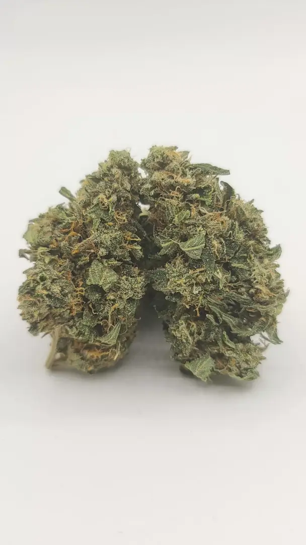 Sky High Exotics
