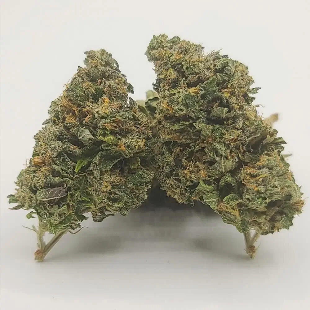Sky High Exotics