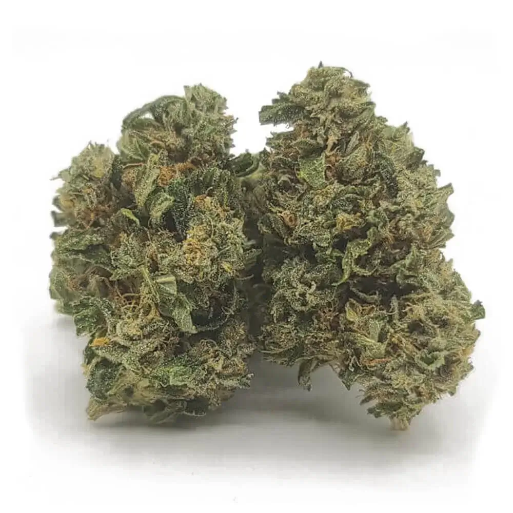 Sky High Exotics