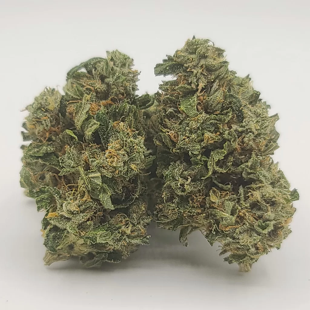 Sky High Exotics