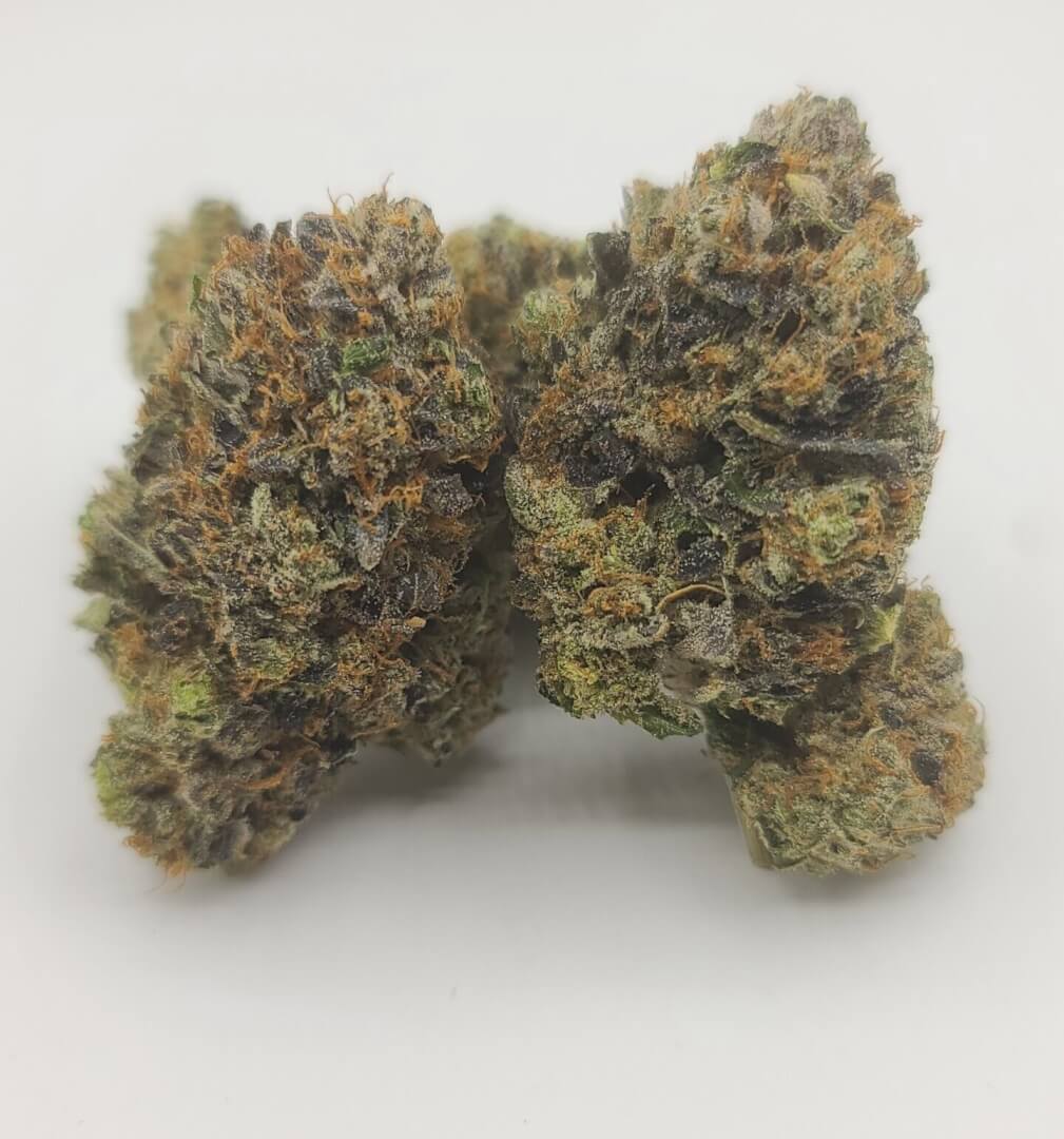 Sky High Exotics