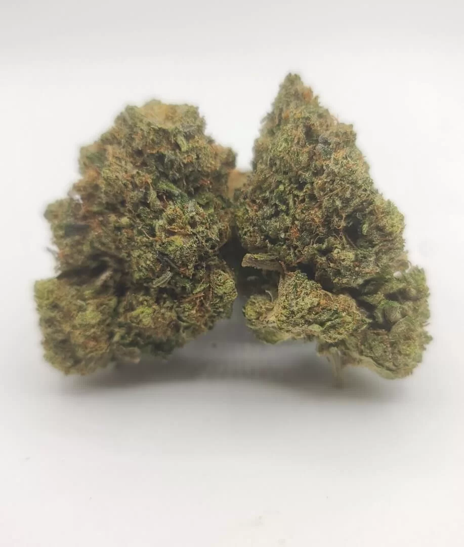 Sky High Exotics