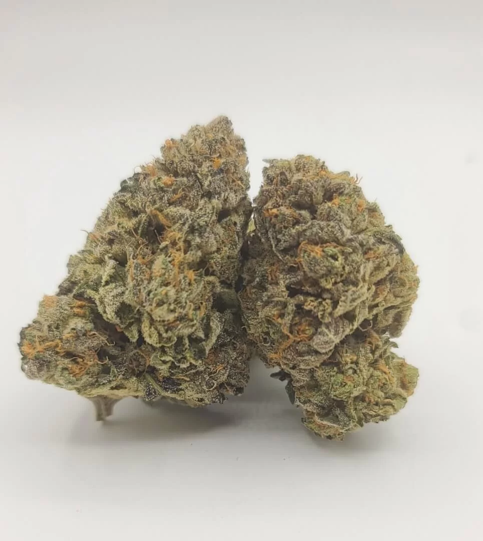 Sky High Exotics