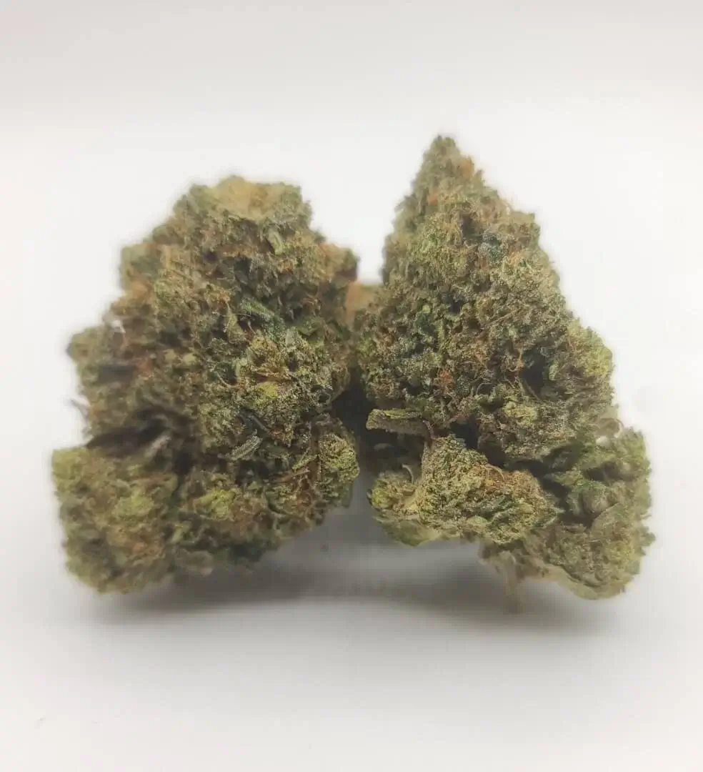 Sky High Exotics