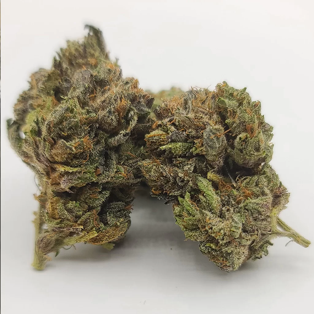 Sky High Exotics