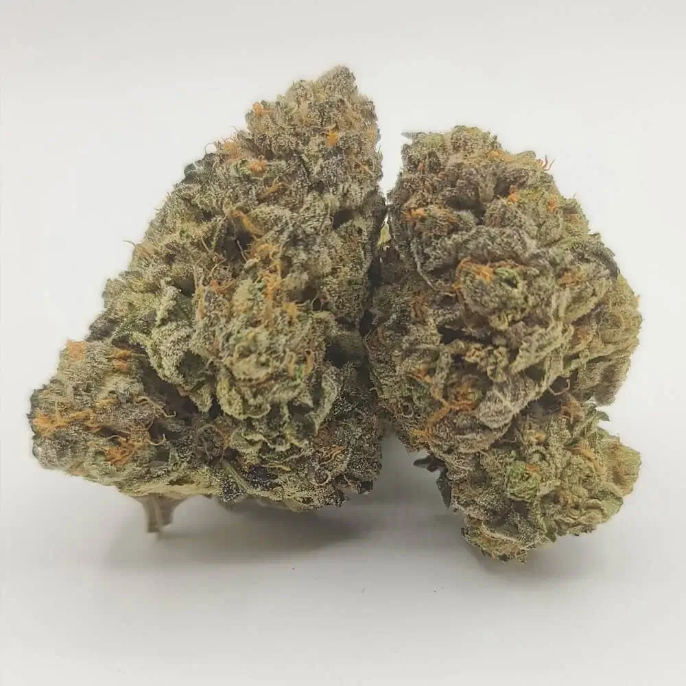 Sky High Exotics