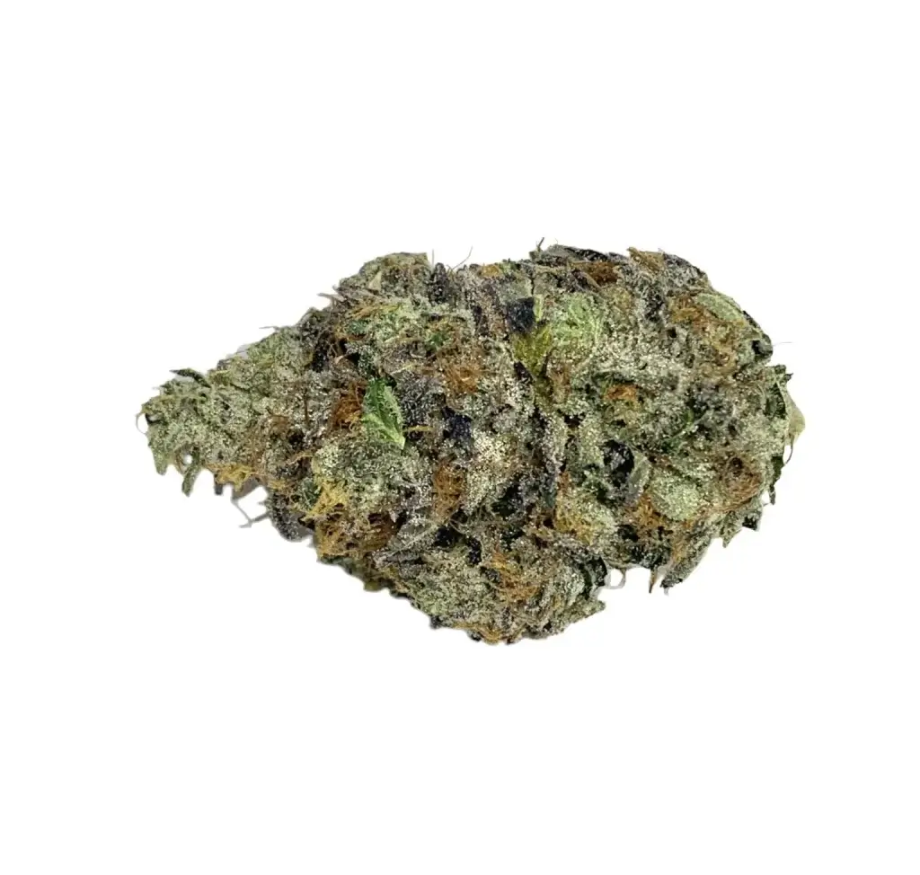 Sky High Exotics