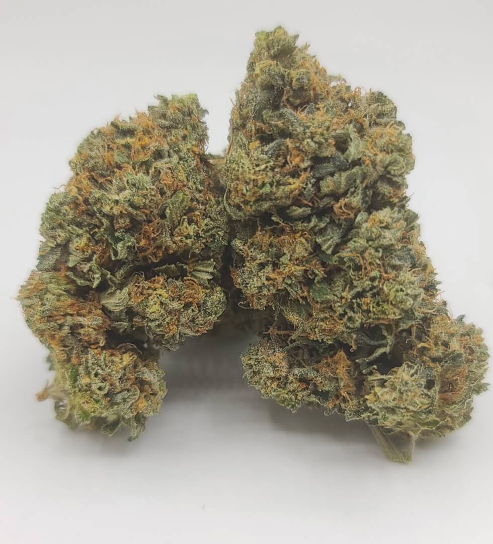 Sky High Exotics