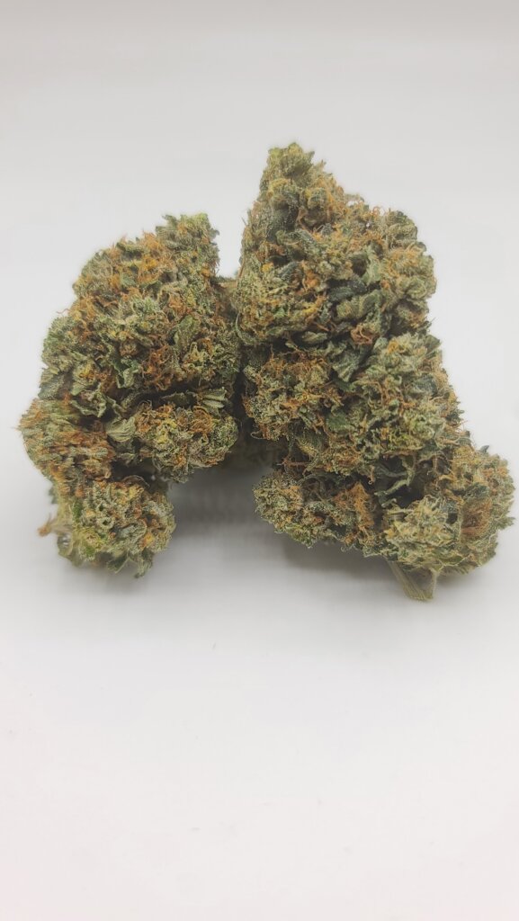 Sky High Exotics