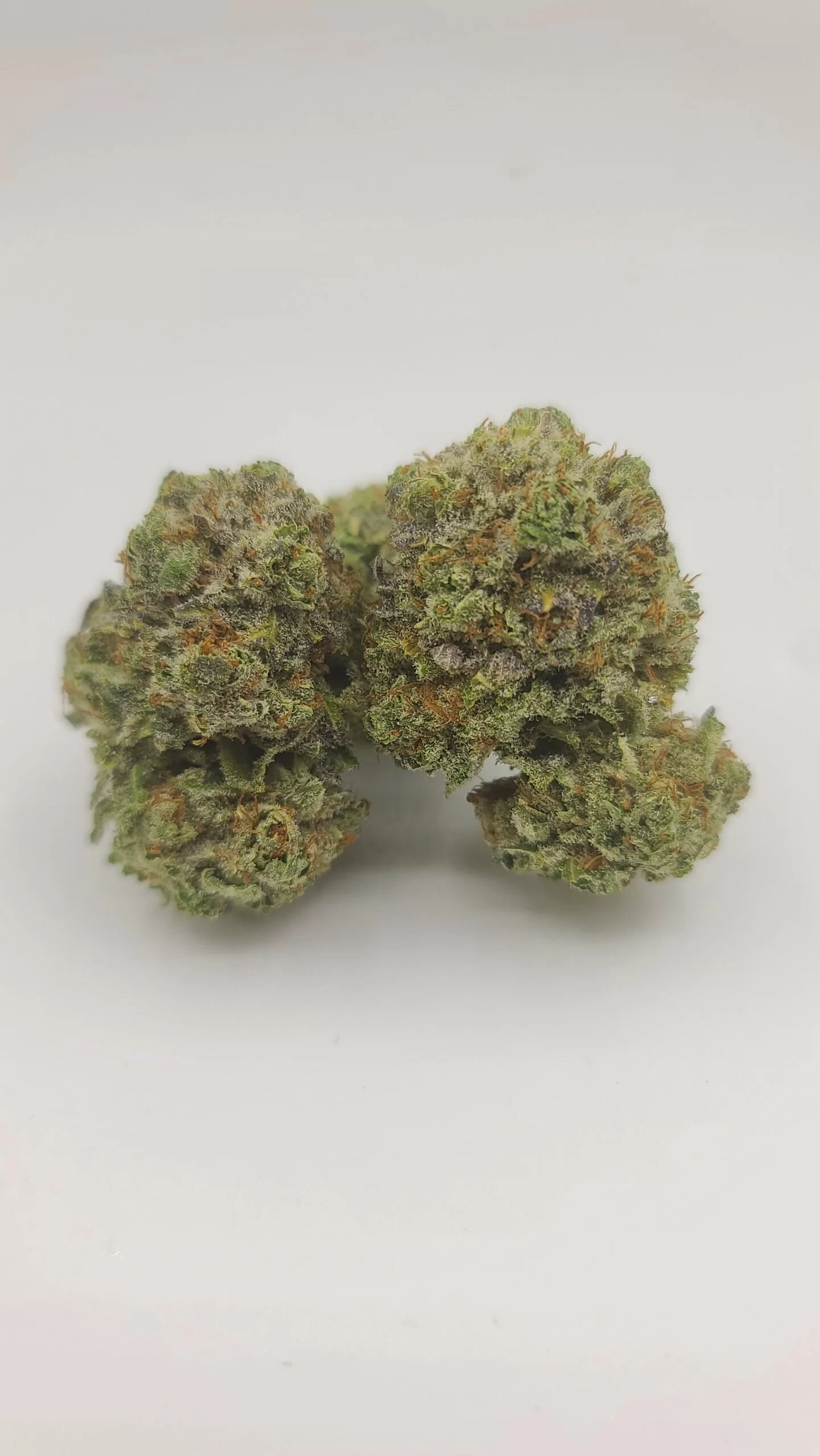 Sky High Exotics