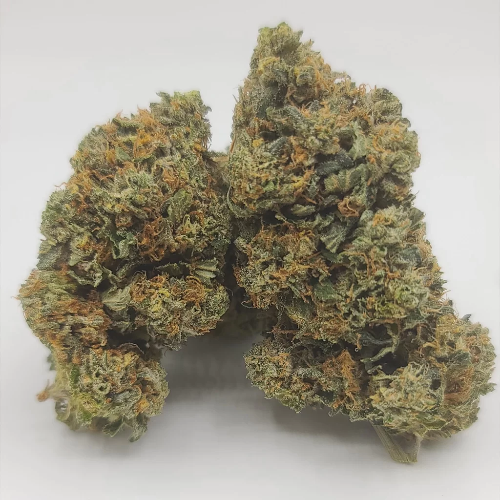 Sky High Exotics