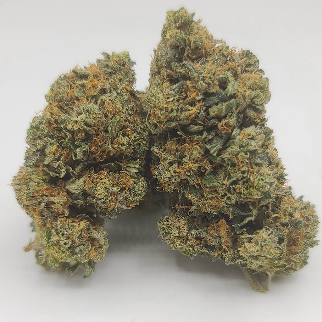 Sky High Exotics