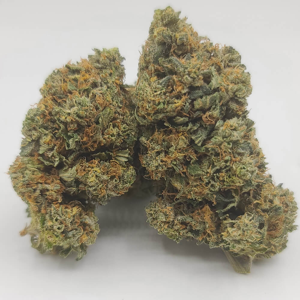 Sky High Exotics