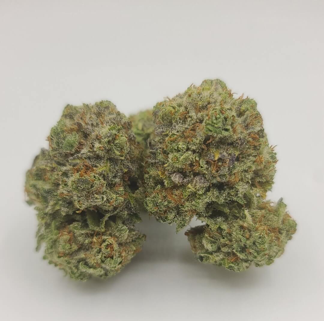 Sky High Exotics