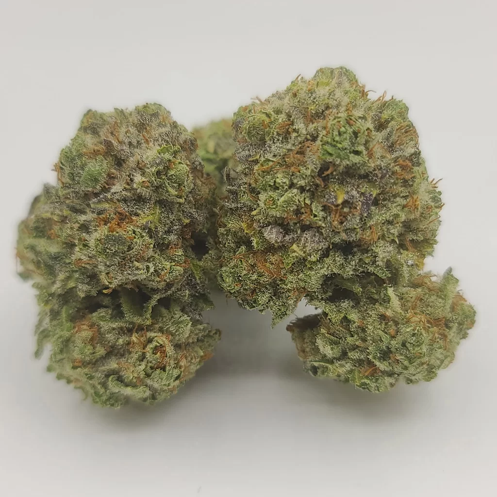 Sky High Exotics