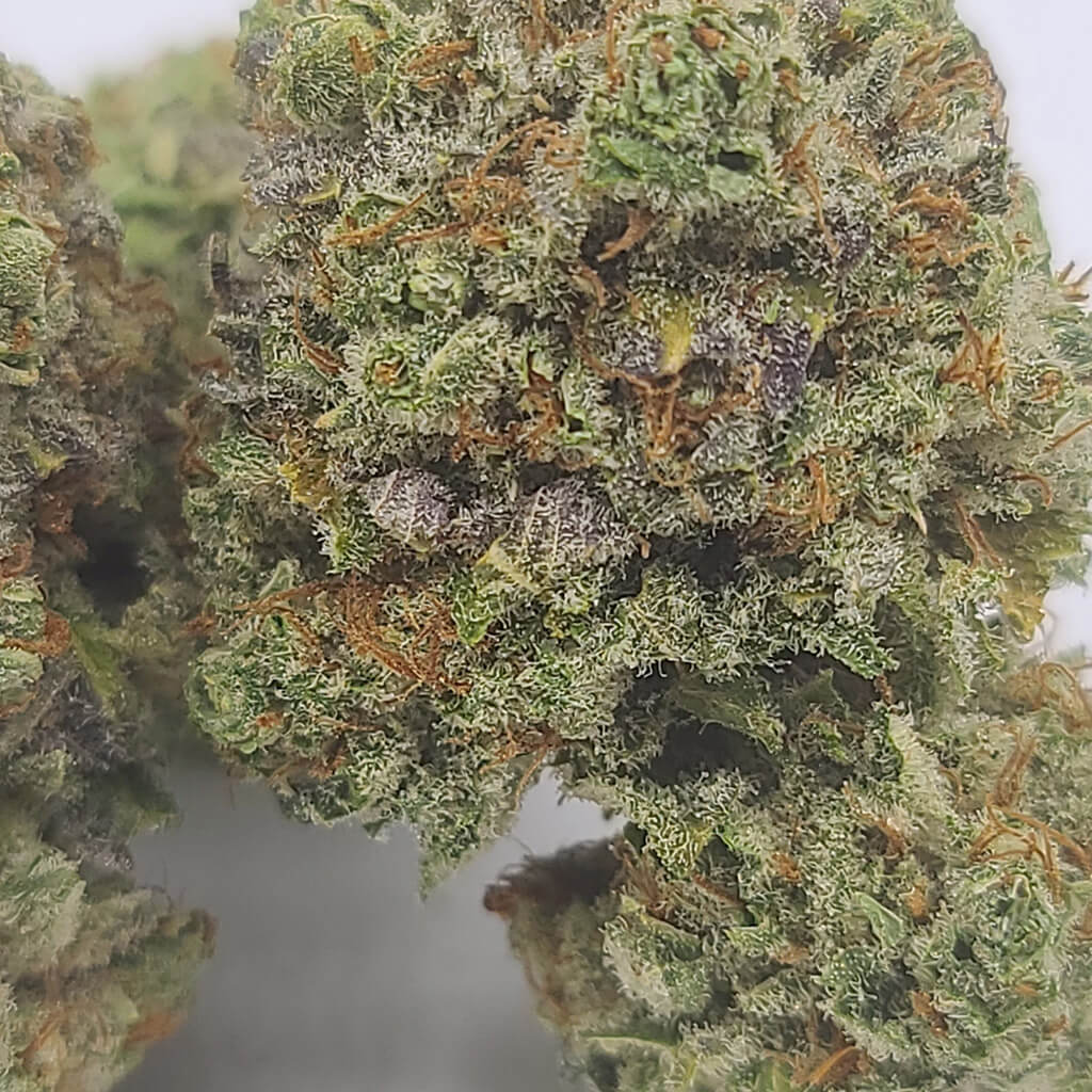 Sky High Exotics