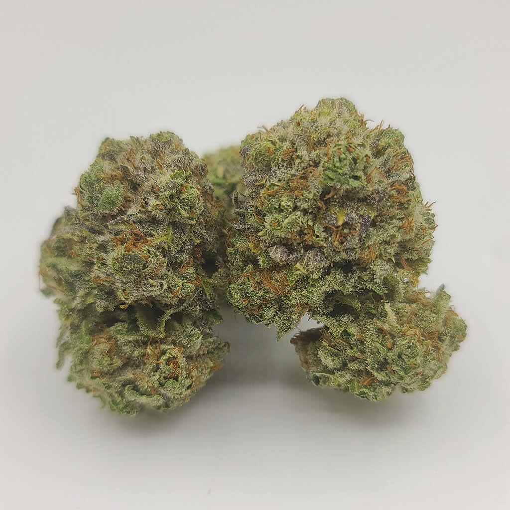 Sky High Exotics