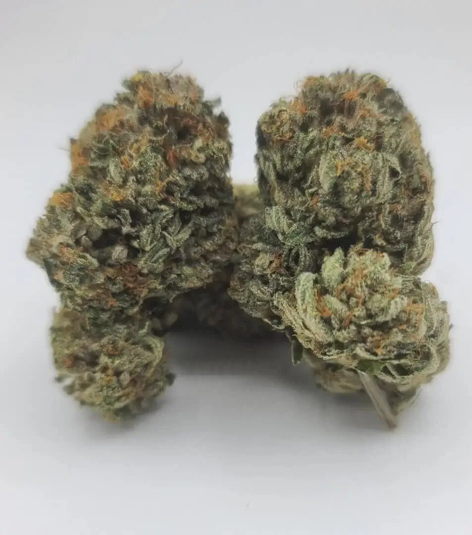 Sky High Exotics