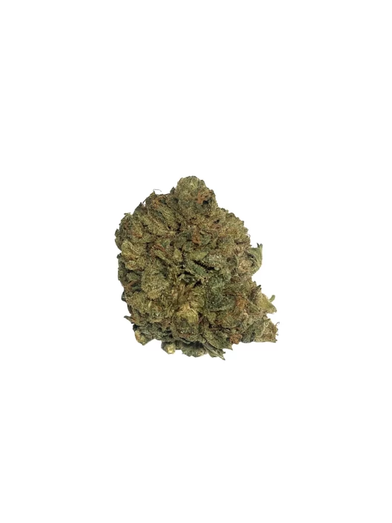 Sky High Exotics