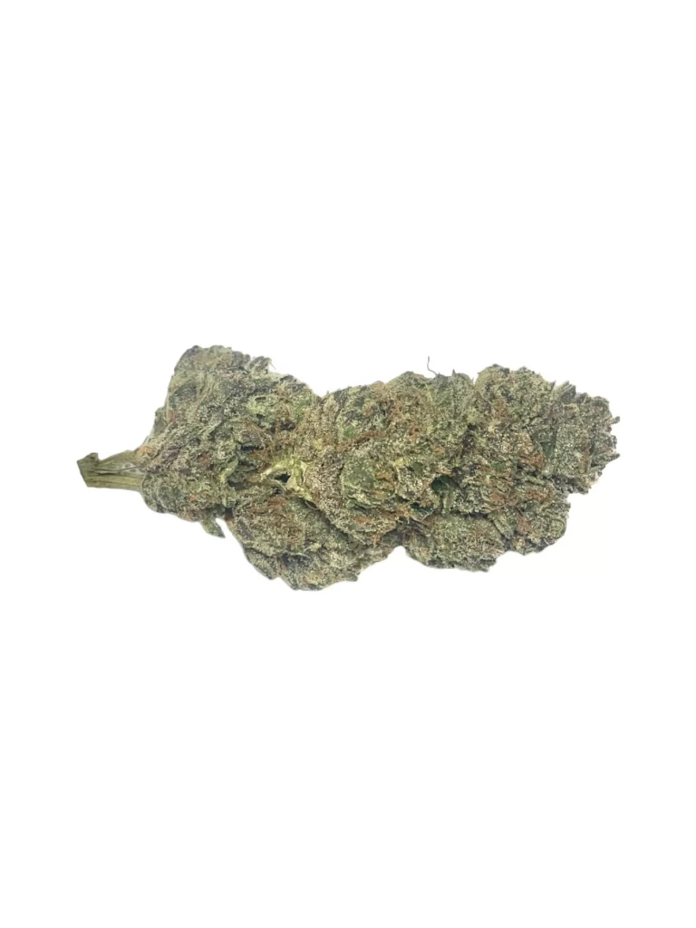 Sky High Exotics