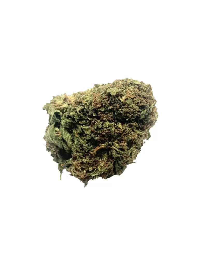 Sky High Exotics