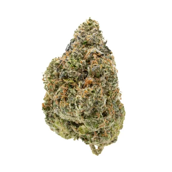 Sky High Exotics