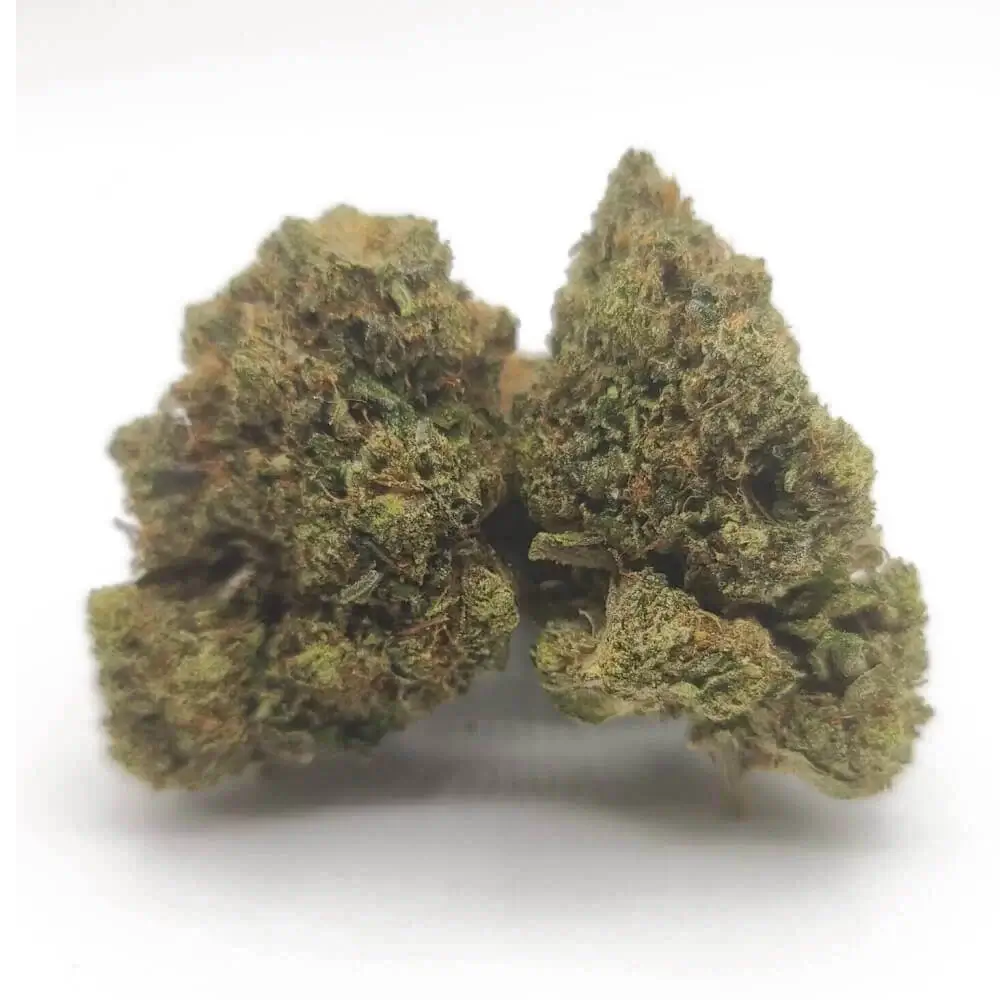 Sky High Exotics