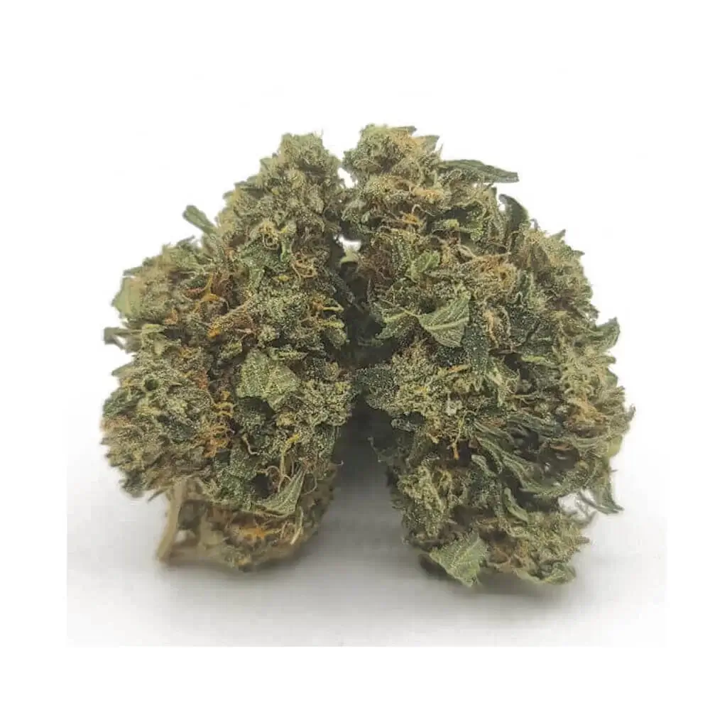 Sky High Exotics