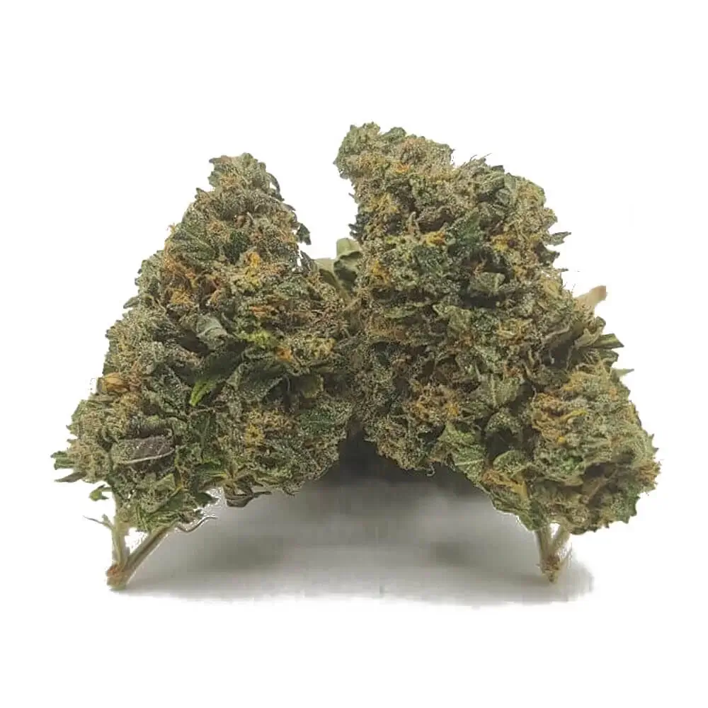 Sky High Exotics