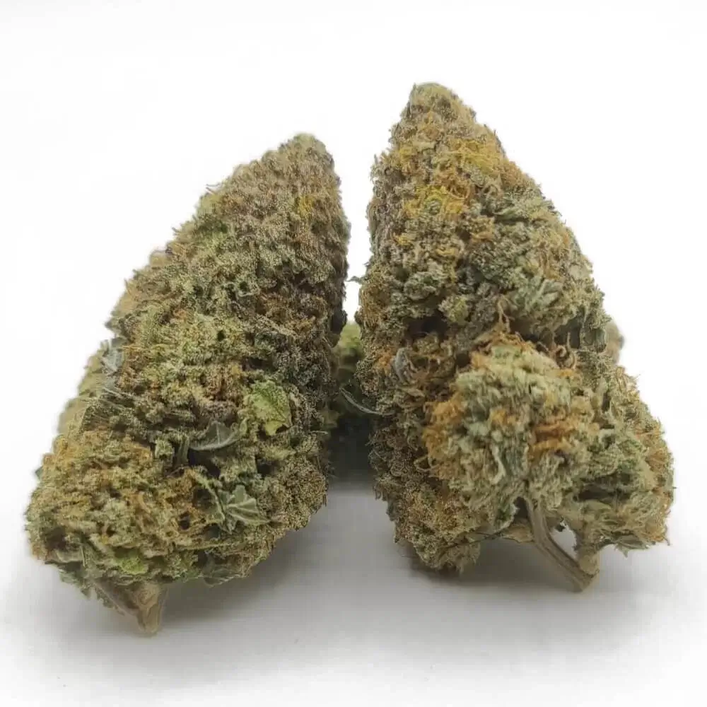 Sky High Exotics