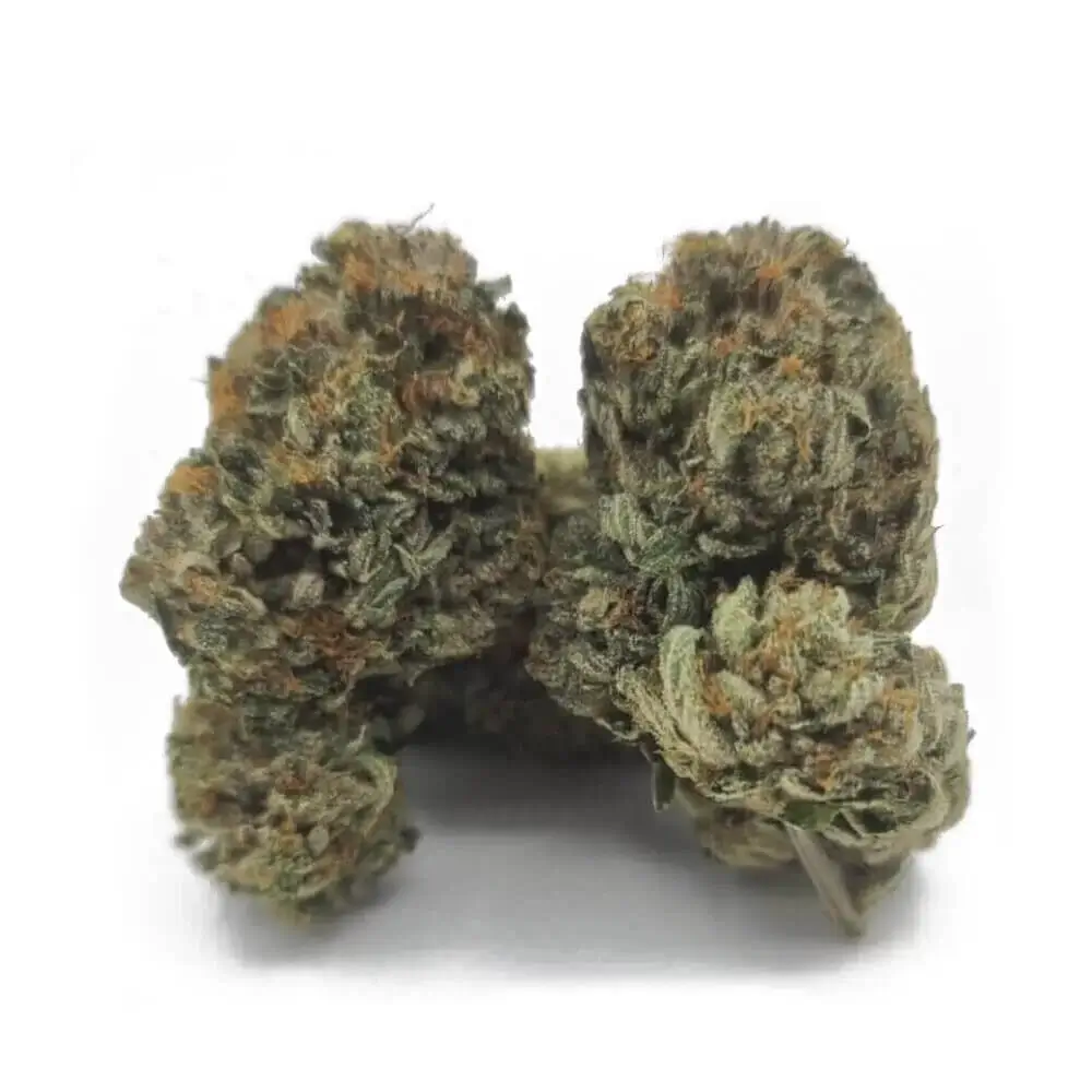 Sky High Exotics