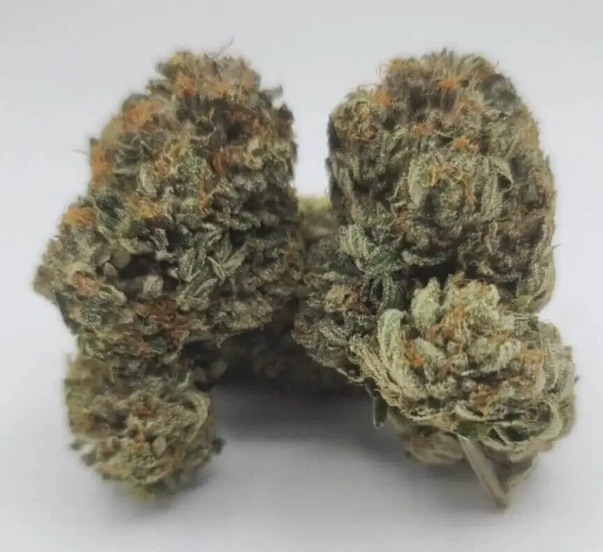 Sky High Exotics