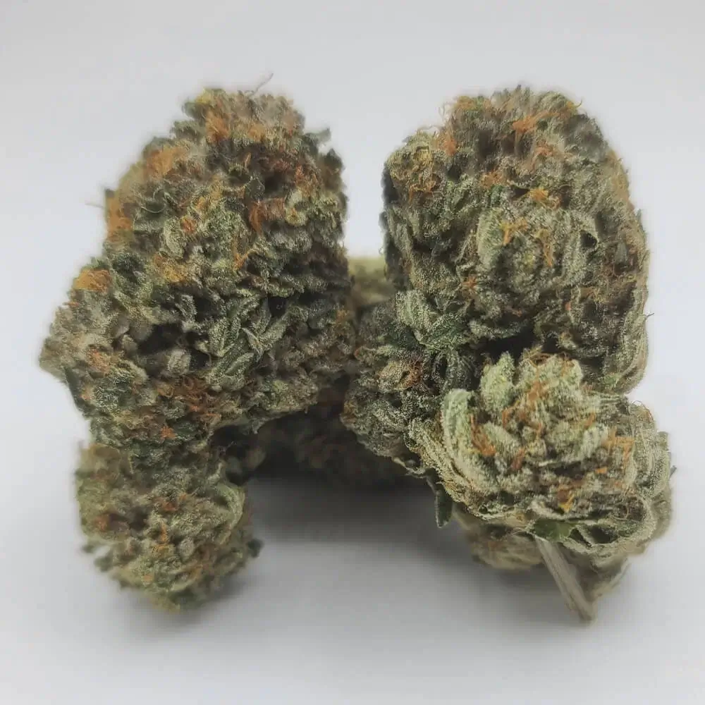 Sky High Exotics