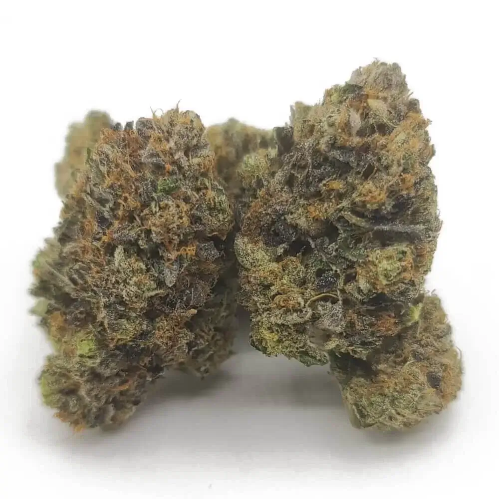 Sky High Exotics